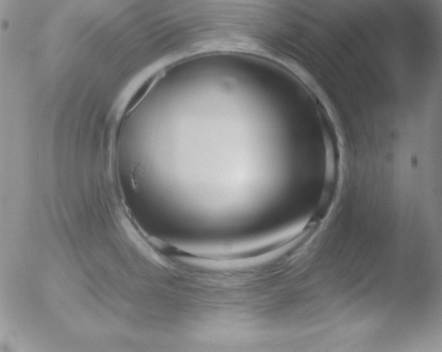 X0000051901246200507081956