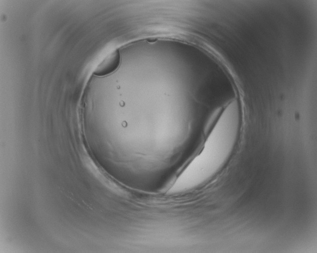 X0000051901291200507081954