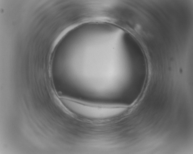 X0000051901436200507081953