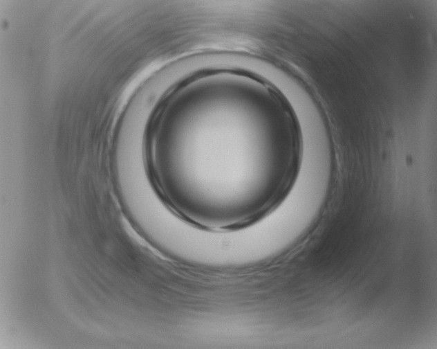X0000051901471200507081951