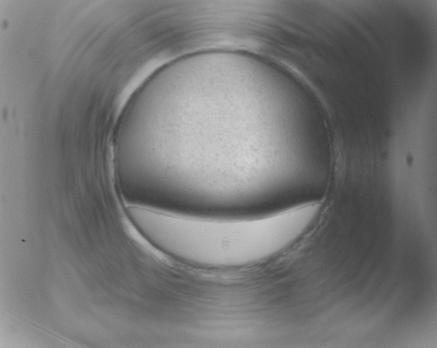 X0000051901476200507081951