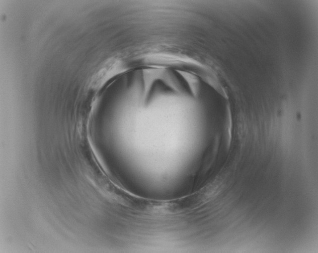 X0000051900072200507152015