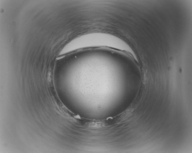 X0000051900077200507152016