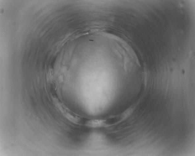 X0000051900093200507152016