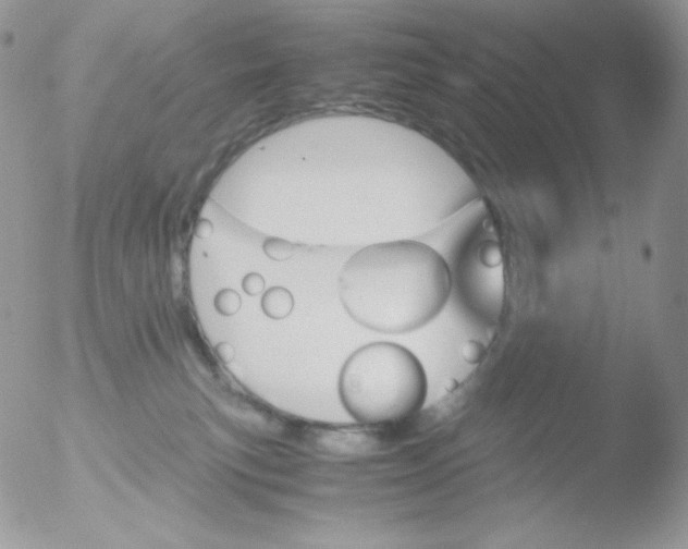 X0000051900183200507152014