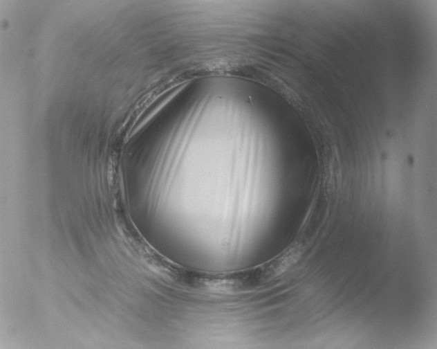 X0000051900268200507152012