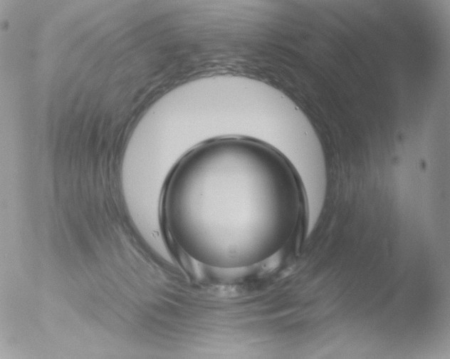 X0000051900276200507152012