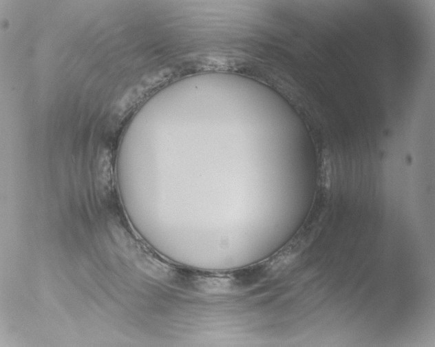 X0000051900318200507152011