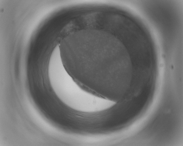 X0000051900382200507152011