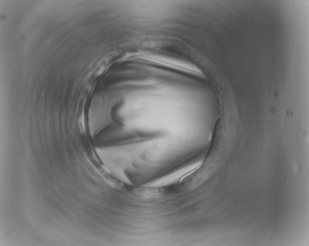 X0000051900384200507152011