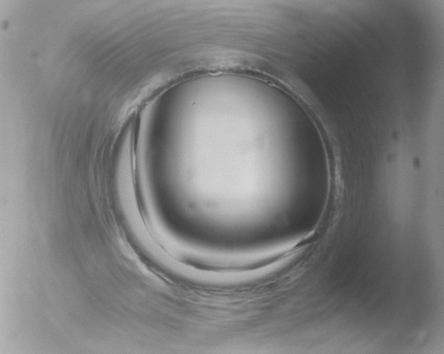 X0000051900485200507152008
