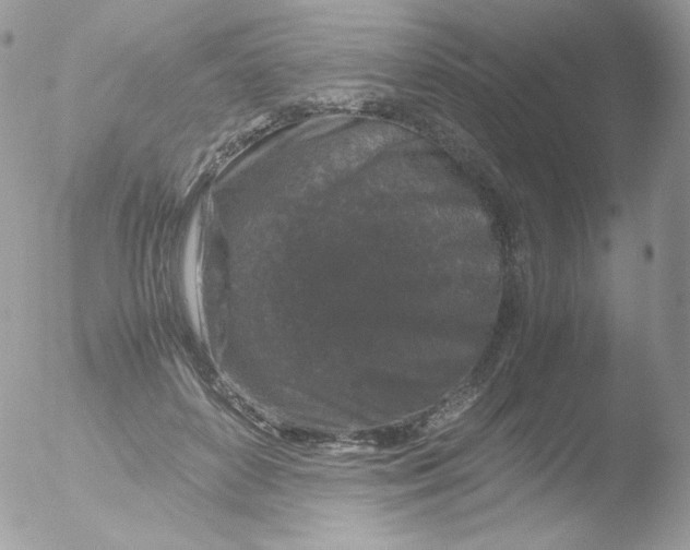 X0000051900504200507152008