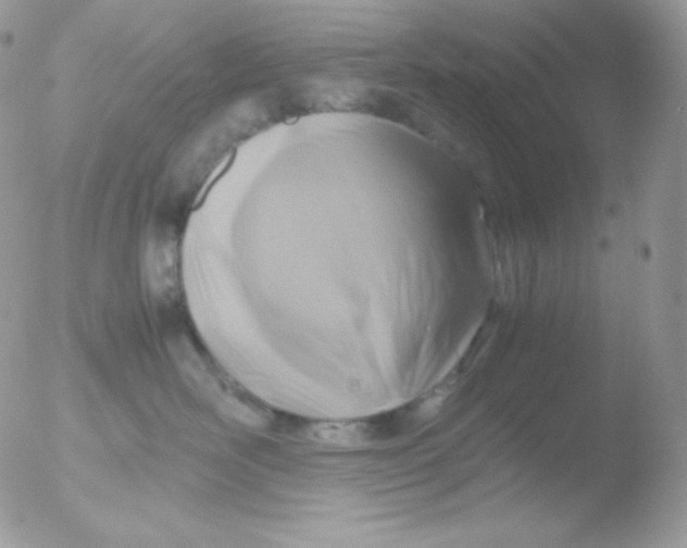 X0000051900526200507152008