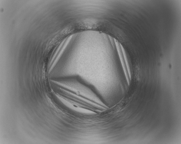 X0000051900594200507152007