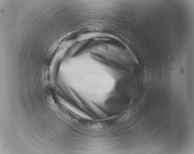 X0000051900600200507152006