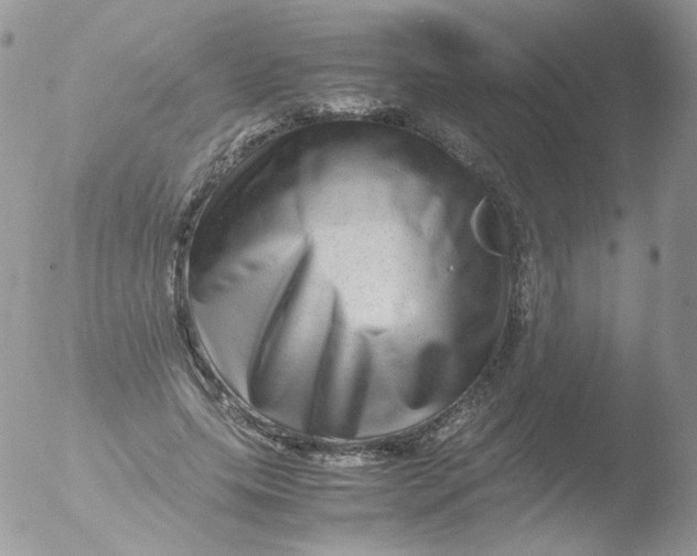 X0000051900639200507152006
