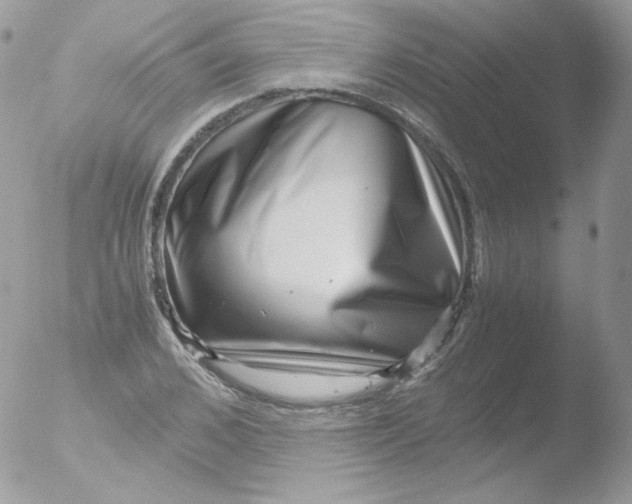 X0000051900976200507152000