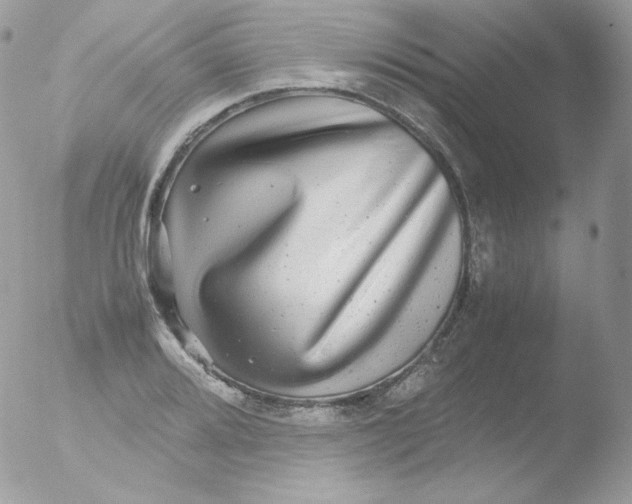 X0000051901080200507151958