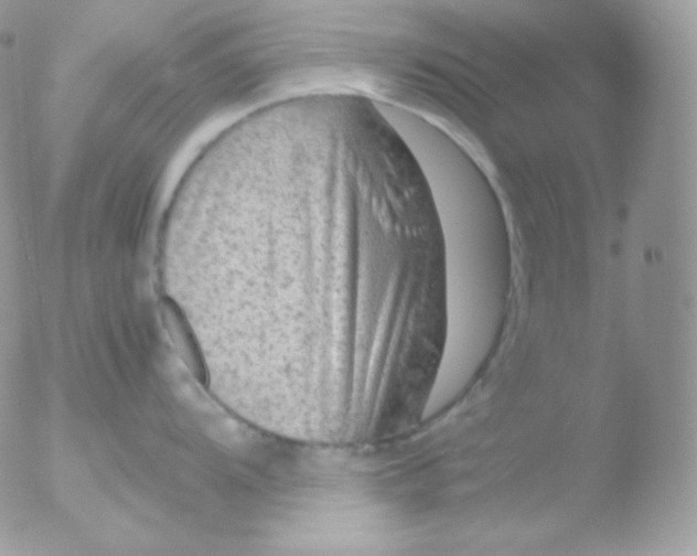 X0000051901104200507151958