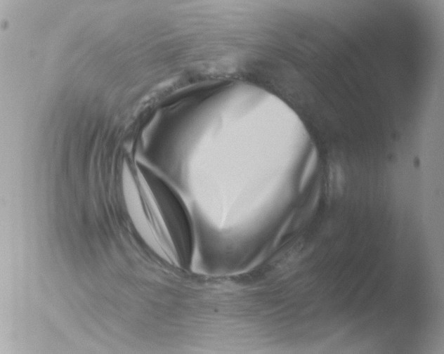 X0000051901250200507151956