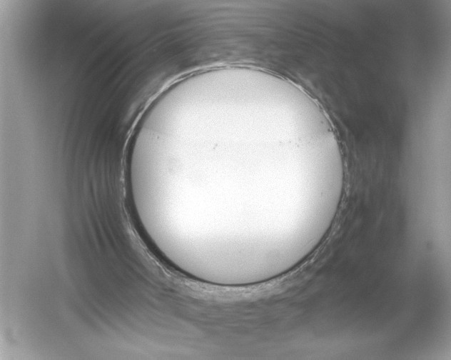 X0000051900002200507222054