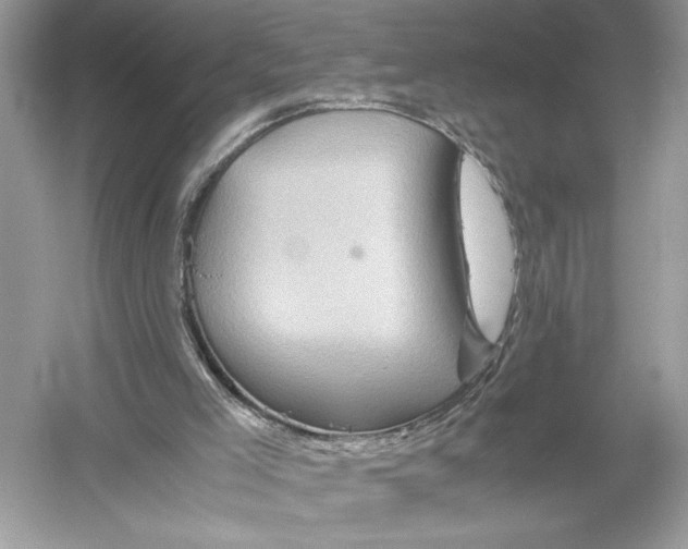 X0000051900005200507222054