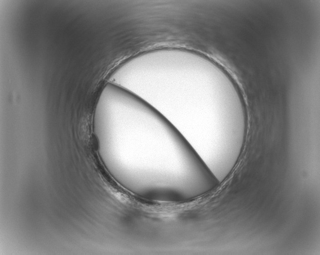 X0000051900009200507222054