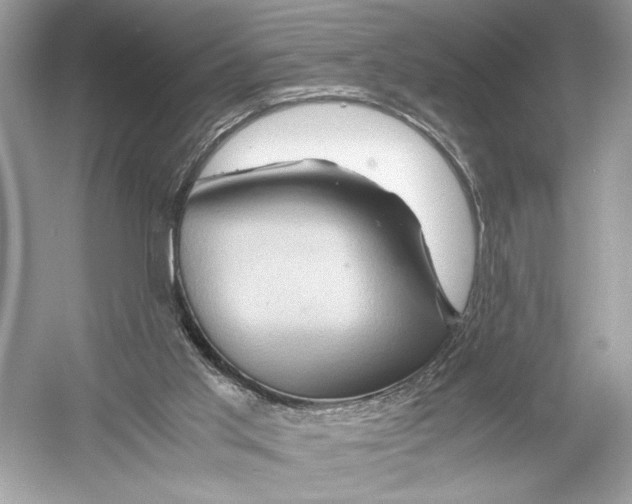 X0000051900013200507222054