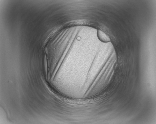 X0000051900014200507222054