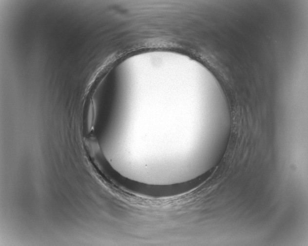 X0000051900015200507222054