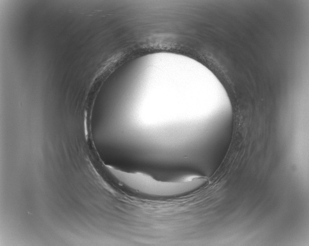 X0000051900020200507222054