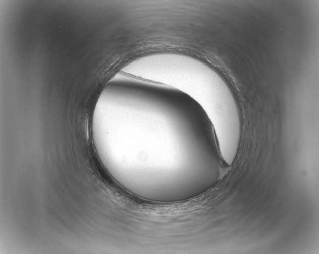 X0000051900021200507222054