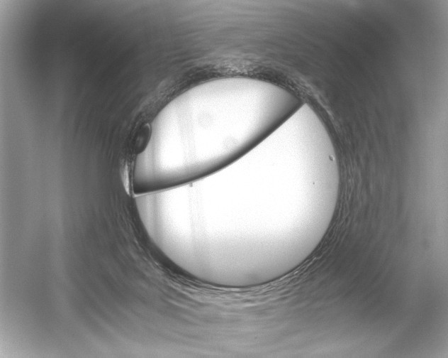 X0000051900027200507222054