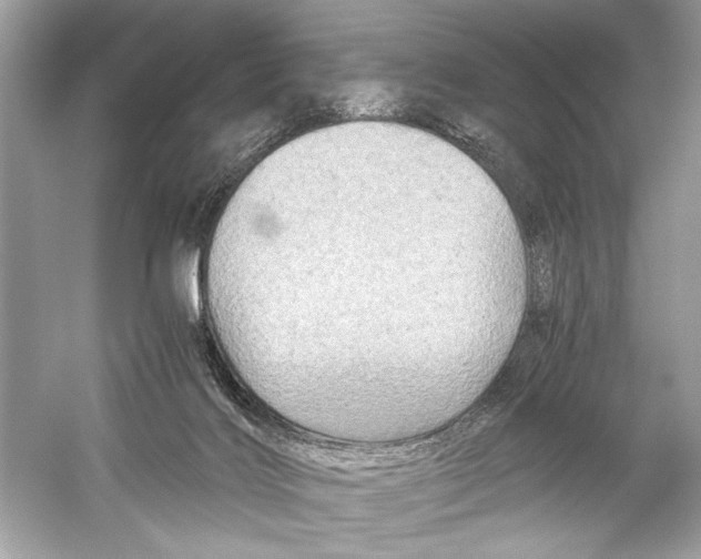 X0000051900028200507222054