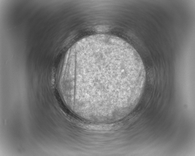 X0000051900032200507222053