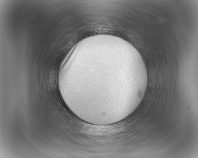X0000051900034200507222053