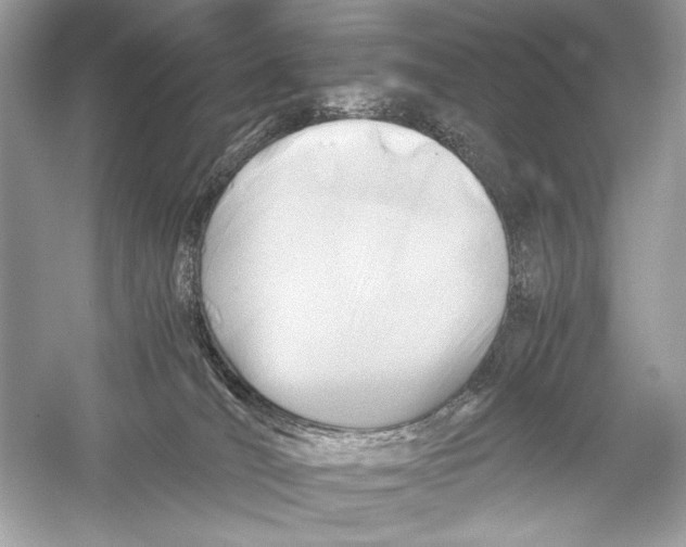X0000051900036200507222053