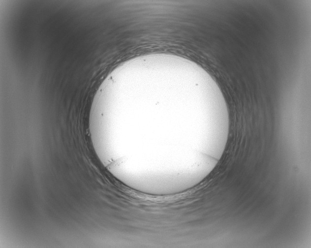 X0000051900039200507222053