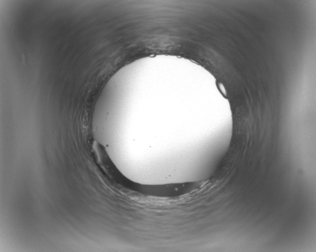 X0000051900040200507222053
