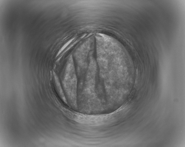 X0000051900048200507222053