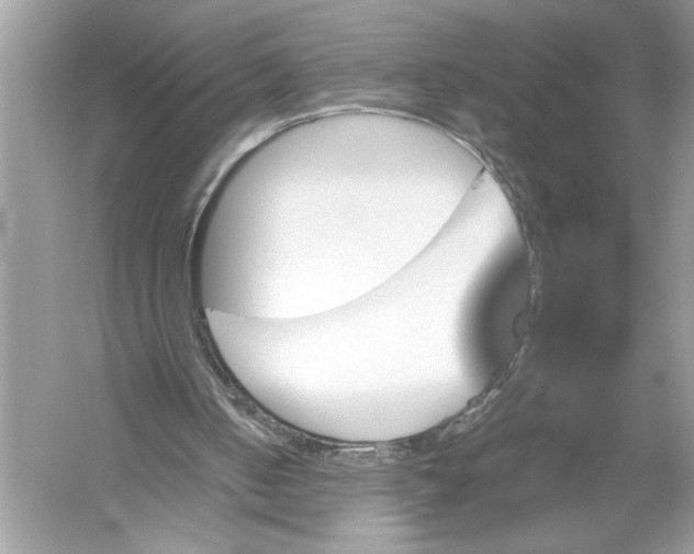 X0000051900050200507222052