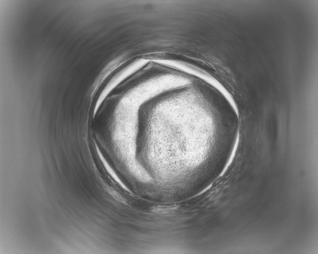 X0000051900051200507222052