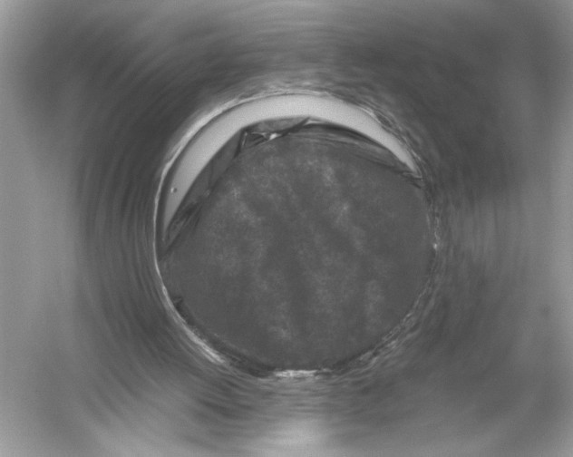 X0000051900052200507222052