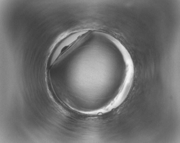 X0000051900054200507222052