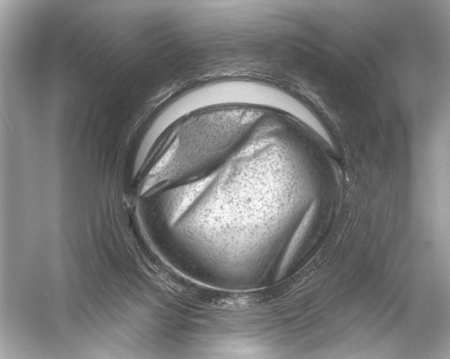 X0000051900068200507222053