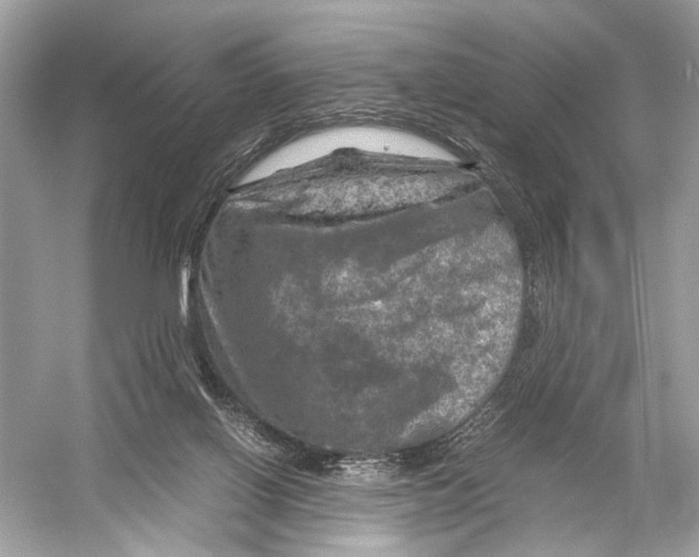 X0000051900070200507222053
