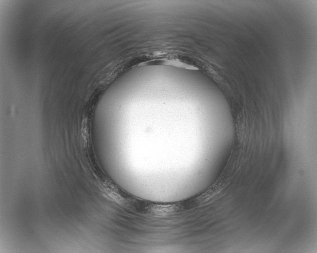 X0000051900085200507222053