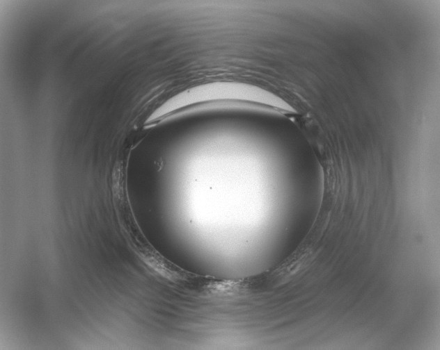 X0000051900092200507222053