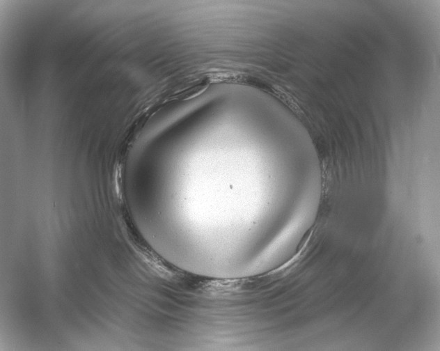 X0000051900094200507222053