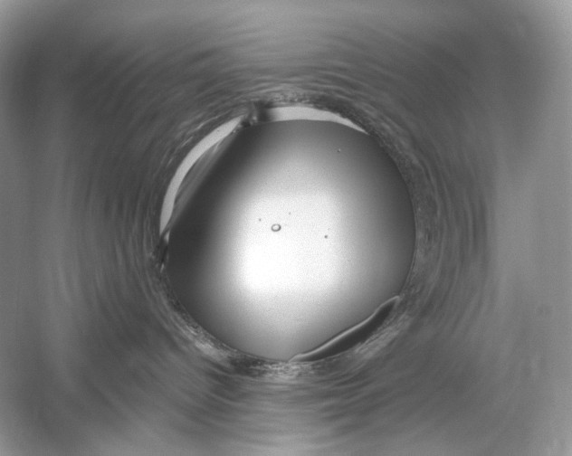 X0000051900096200507222053